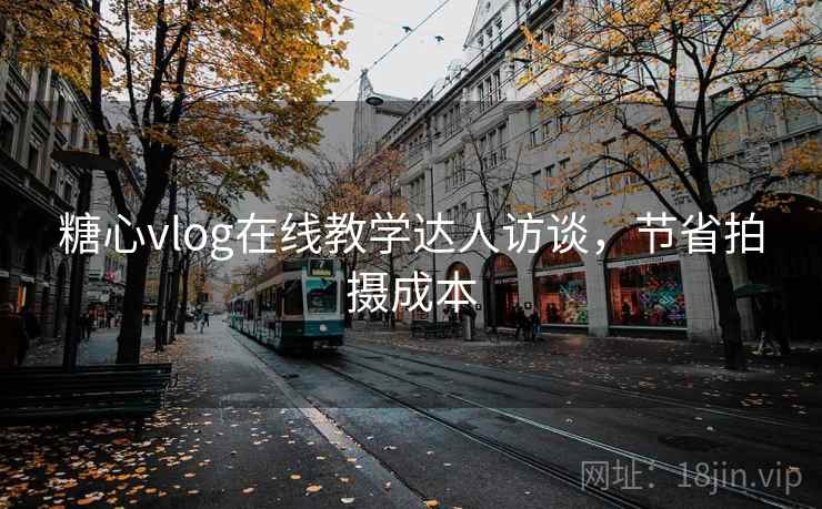 糖心vlog在线教学达人访谈，节省拍摄成本